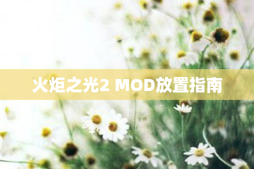 火炬之光2 MOD放置指南图片
