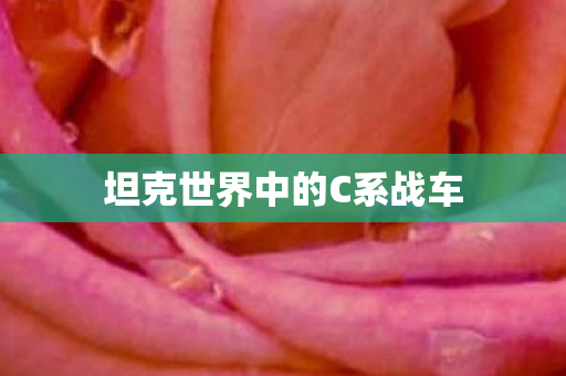 坦克世界中的C系战车图片