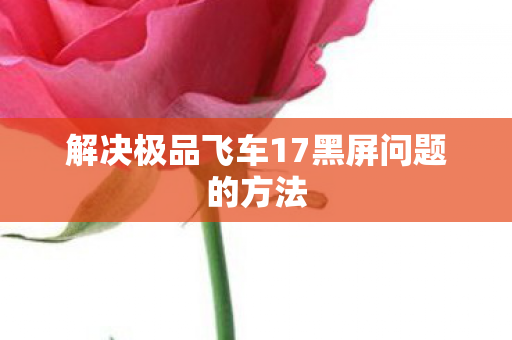 解决极品飞车17黑屏问题的方法图片
