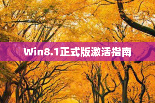 1正式版激活指南图片