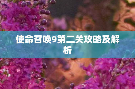 使命召唤9第二关攻略及解析图片