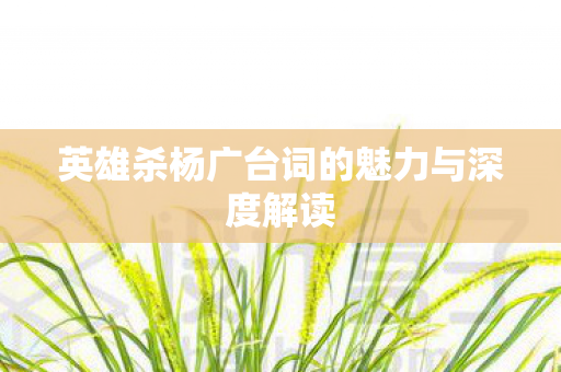 英雄杀杨广台词的魅力与深度解读图片