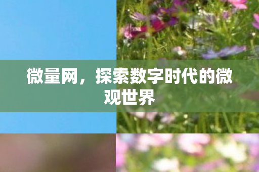探索数字时代的微观世界图片