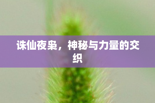 神秘与力量的交织图片