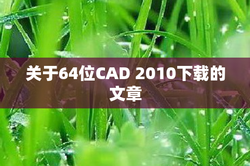 关于64位CAD 2010下载的文章图片