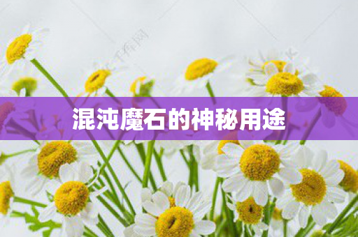 混沌魔石的神秘用途图片