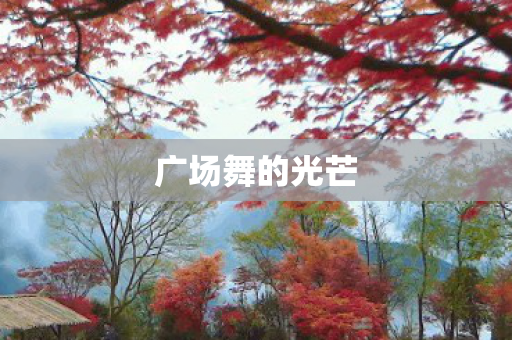 广场舞的光芒图片