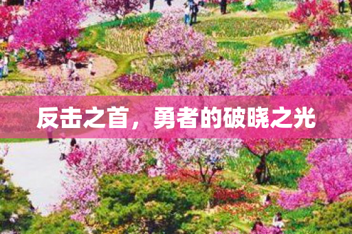 勇者的破晓之光图片