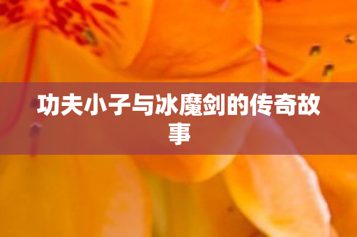 功夫小子与冰魔剑的传奇故事图片
