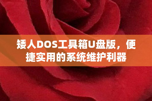 矮人DOS工具箱U盘版图片