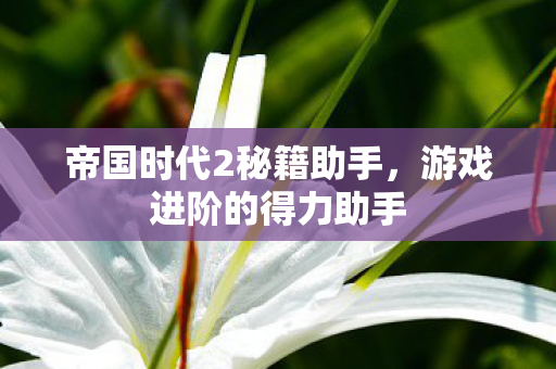 帝国时代2秘籍助手图片