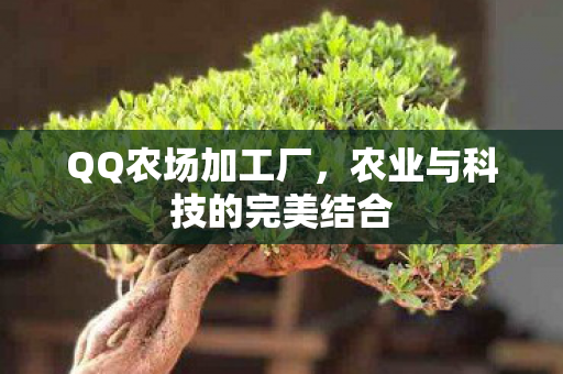 农业与科技的完美结合图片