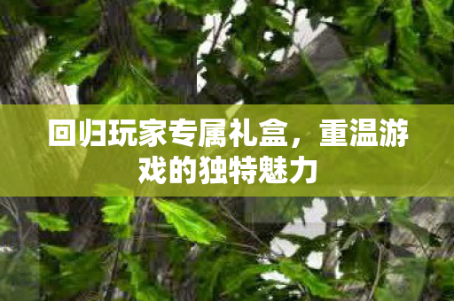 重温游戏的独特魅力图片