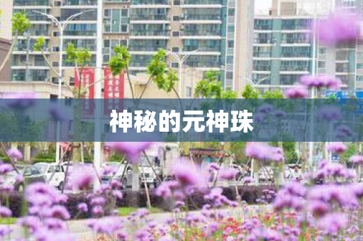 神秘的元神珠图片