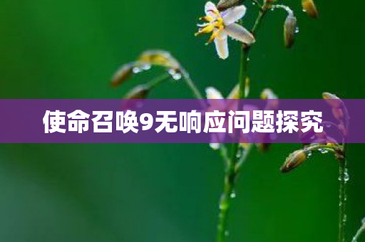 使命召唤9无响应问题探究图片