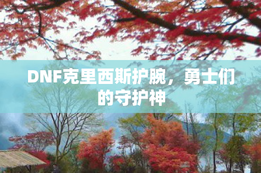 DNF克里西斯护腕图片