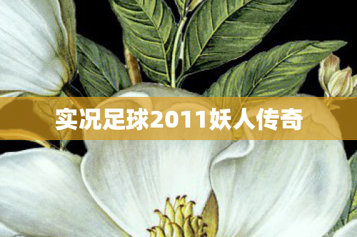实况足球2011妖人传奇图片