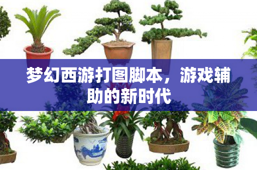 梦幻西游打图脚本图片