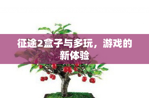 征途2盒子与多玩图片
