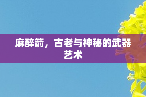 古老与神秘的武器艺术图片