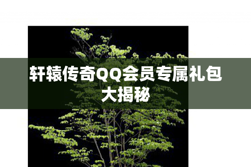 轩辕传奇QQ会员专属礼包大揭秘图片