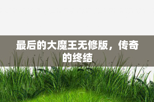 最后的大魔王无修版图片