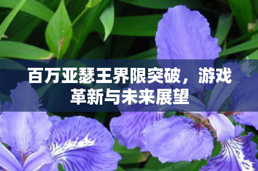 百万亚瑟王界限突破图片