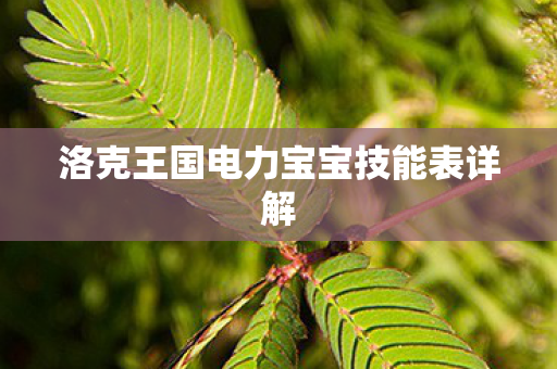 洛克王国电力宝宝技能表详解图片