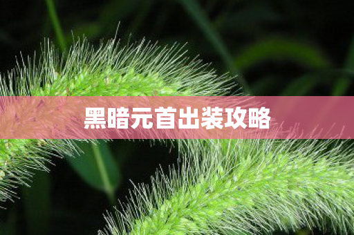 黑暗元首出装攻略图片