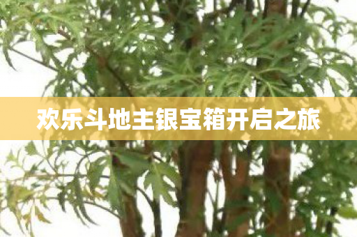 欢乐斗地主银宝箱开启之旅图片