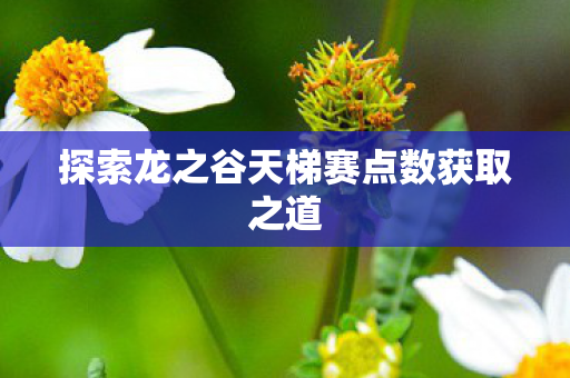 探索龙之谷天梯赛点数获取之道图片