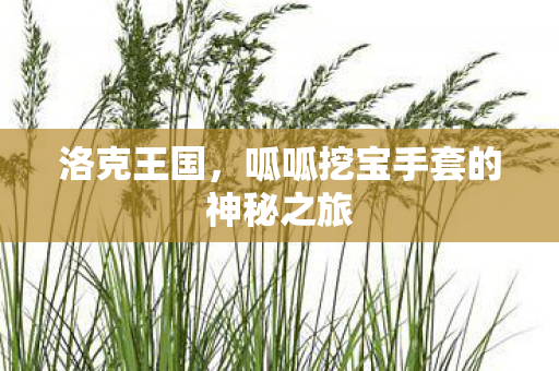 呱呱挖宝手套的神秘之旅图片