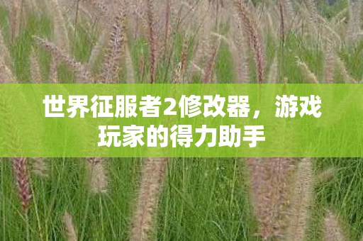 世界征服者2修改器图片