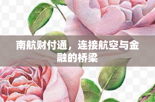 连接航空与金融的桥梁图片