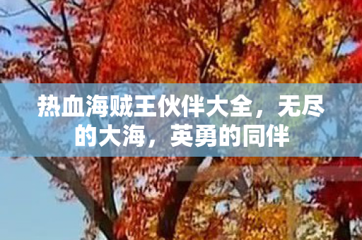 热血海贼王伙伴大全图片