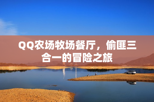 偷匪三合一的冒险之旅图片