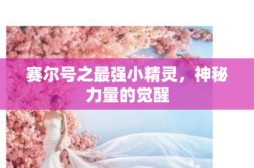 赛尔号之最强小精灵图片