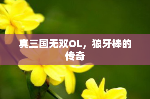 真三国无双OL图片