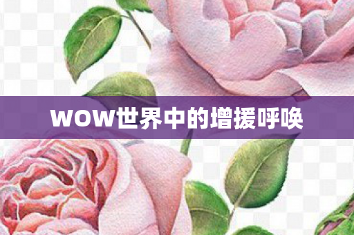 WOW世界中的增援呼唤图片