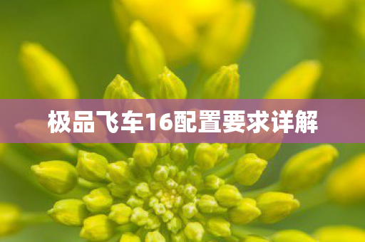 极品飞车16配置要求详解图片