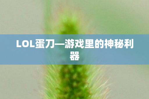 游戏里的神秘利器图片