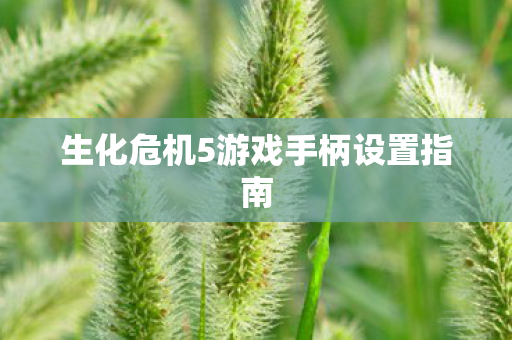 生化危机5游戏手柄设置指南图片