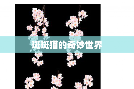 斑斑猫的奇妙世界图片