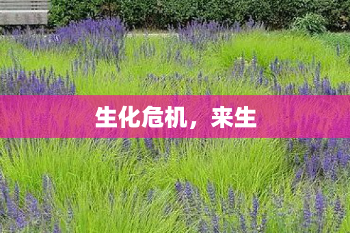 生化危机图片