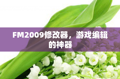 FM2009修改器图片