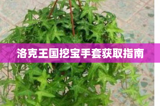 洛克王国挖宝手套获取指南图片