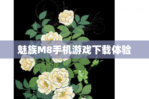 魅族M8手机游戏下载体验图片