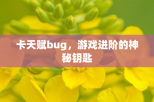 游戏进阶的神秘钥匙图片