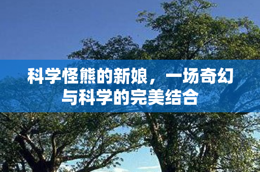 一场奇幻与科学的完美结合图片