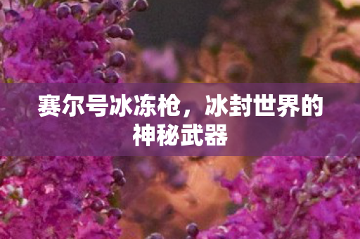 冰封世界的神秘武器图片